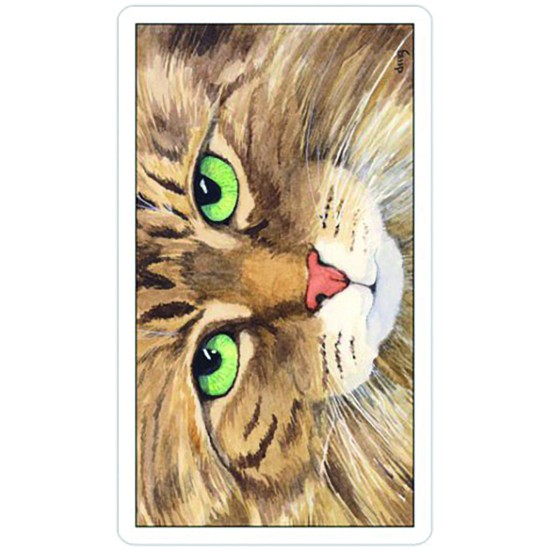 Карти Таро USG Cat's Eye Tarot