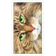 Карти Таро USG Cat's Eye Tarot