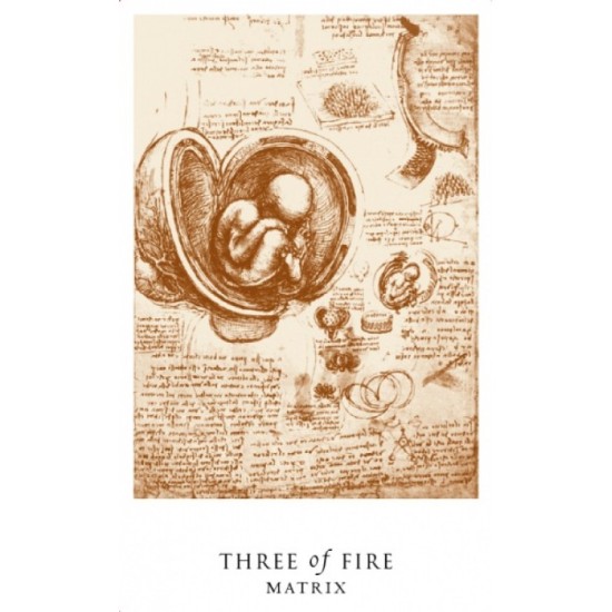 Cards Tarot Schiffer Publishing Da Vinci Enigma