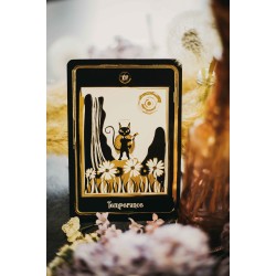 Карти Таро AGM Golden Black Cat